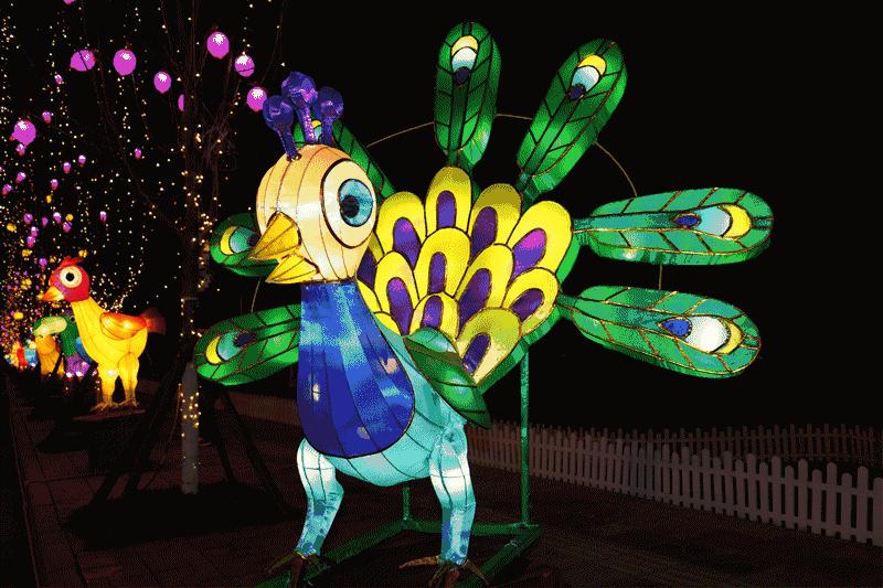 成都灯会七彩田野,灯会大型发光花灯