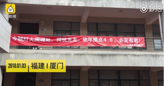 这一波史诗级大片又双叒来了！今年上演：狗年不挂！