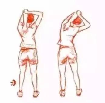 张雨绮怎么瘦成筷子腿,张雨绮如何练腿