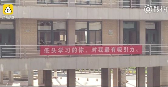 这一波史诗级大片又双叒来了！今年上演：狗年不挂！