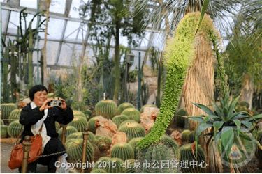 周末看花一日游,周末去哪玩一花一草一世界