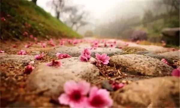 五一出行100分推荐，人少景美文艺到爆