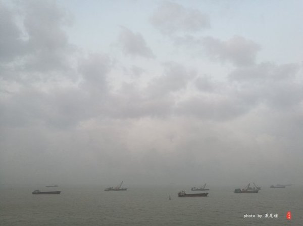 珊瑚海日本,陪你去看海底世界