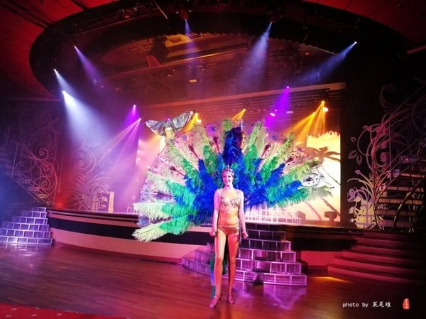 珊瑚海日本,陪你去看海底世界