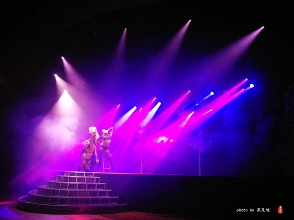 珊瑚海日本,陪你去看海底世界