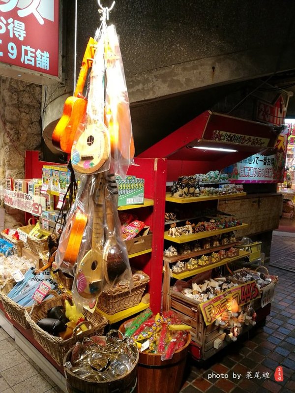 珊瑚海日本,陪你去看海底世界