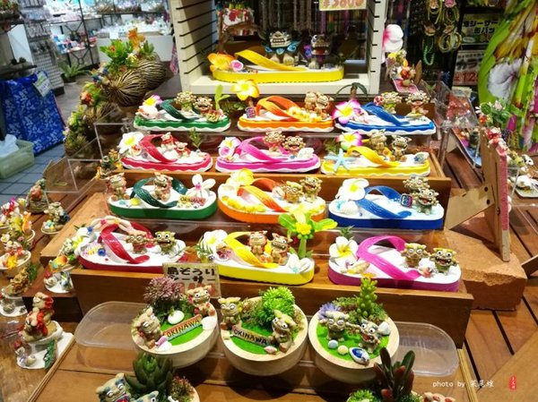 珊瑚海日本,陪你去看海底世界