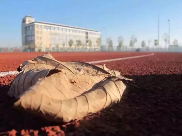 农大校景图片,农大开学通知