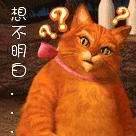 张雨绮怎么瘦成筷子腿,张雨绮如何练腿