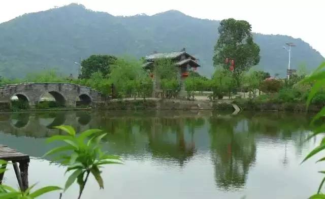 乐活|太美了！不用远赴江南，原来广州隐藏这些“小周庄”！