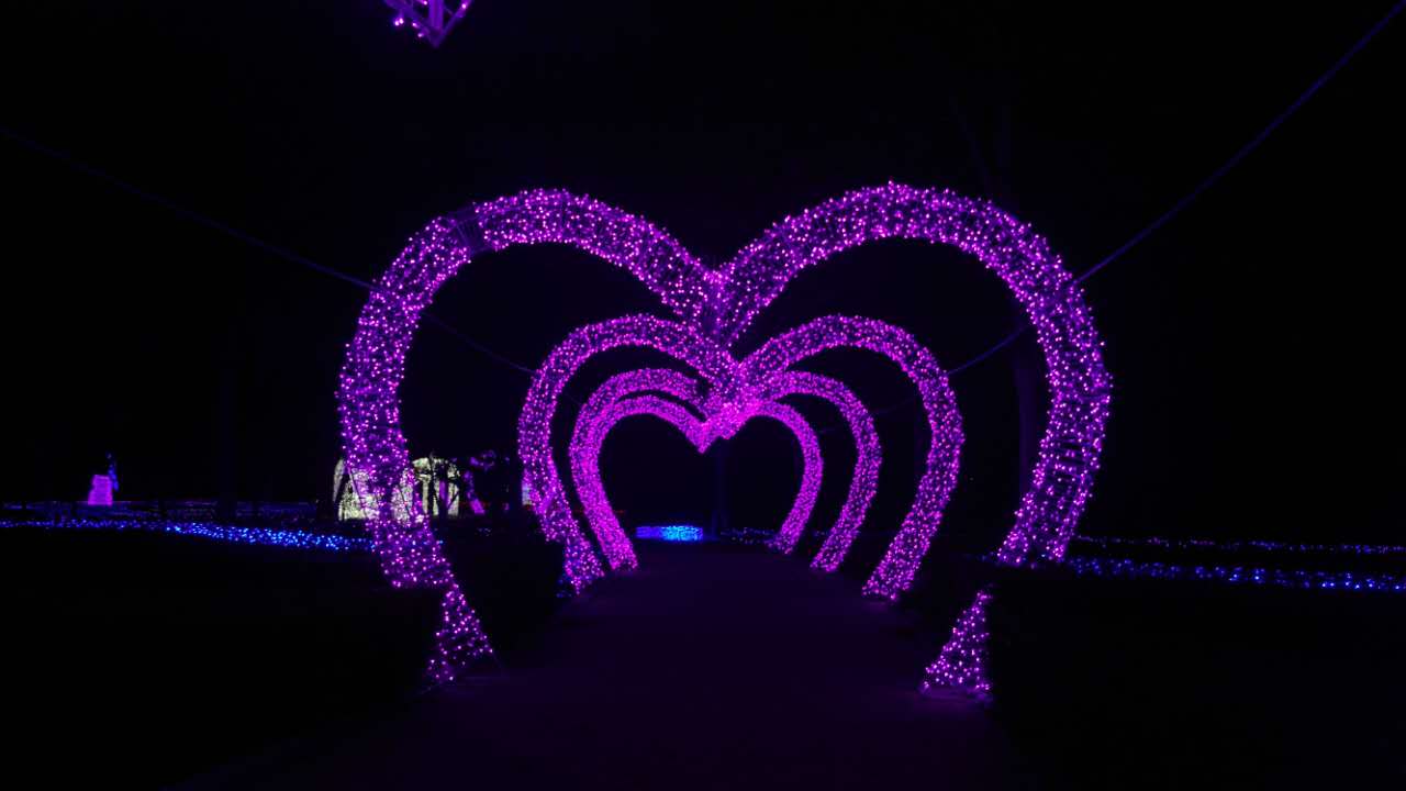 亿万星光点亮世纪欢乐园“奇幻之夜”光影盛宴