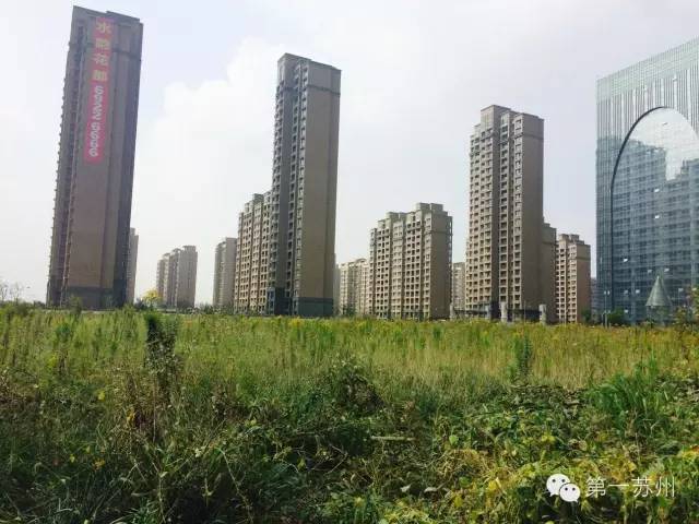 2014年苏州相城活力岛,苏州相城活力岛现在怎么样