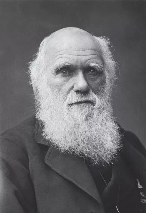 此书太精彩!把科学传记写出了推理小说的感觉丨读书者说