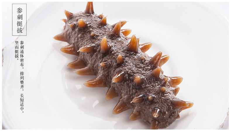 即食海参直播,鲜蒸即食海参