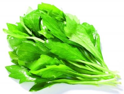 野菜无毒无害,野菜纯天然的绿色蔬菜