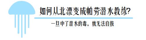 帕劳潜水旅行攻略,帕劳潜水旅行清单
