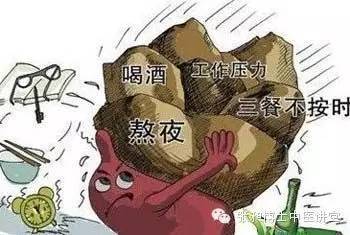 雪莲对肿瘤有效么,雪莲花养胃吗