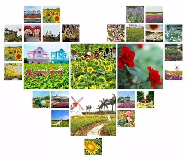 从A到Z，26个字母，看透大南沙！