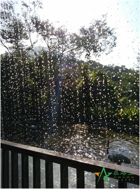 母亲节适合带妈妈去哪里玩海南 (母亲节去哪里吃饭好三亚)