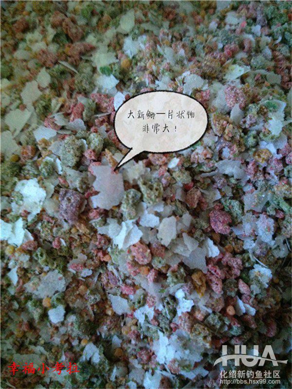 化氏速散颗粒适合用什么饵料钓,化氏不空军饵料和蓝鲫哪个好用