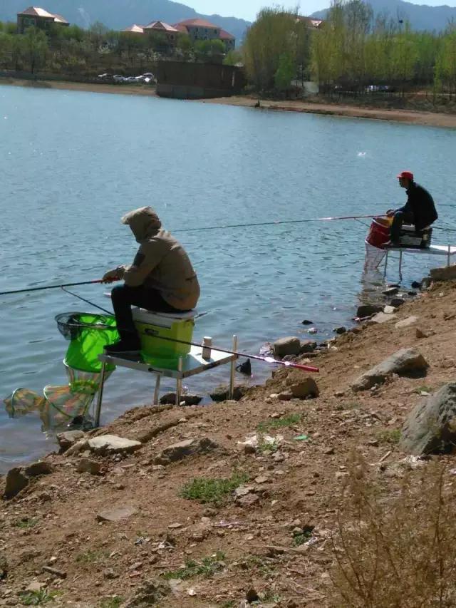 化氏速散颗粒适合用什么饵料钓,化氏不空军饵料和蓝鲫哪个好用