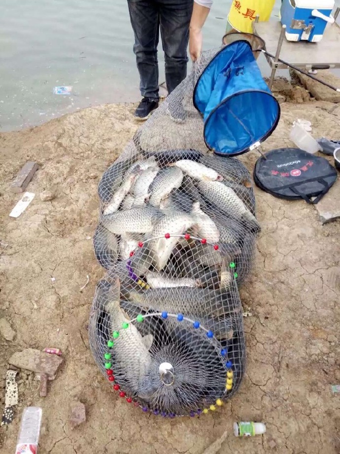 化氏速散颗粒适合用什么饵料钓,化氏不空军饵料和蓝鲫哪个好用