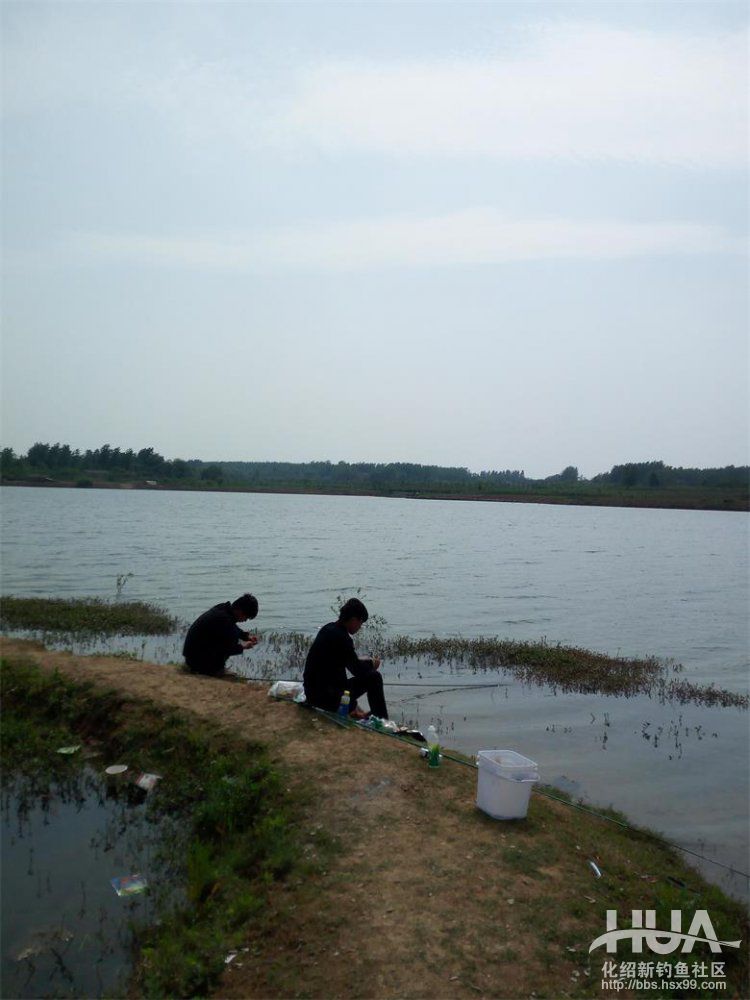 化氏速散颗粒适合用什么饵料钓,化氏不空军饵料和蓝鲫哪个好用