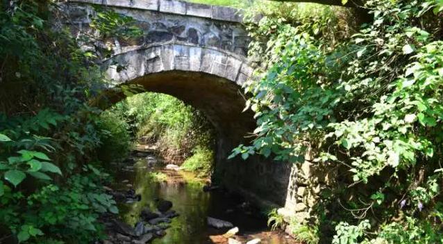 醴陵有哪些出名的地方,醴陵十强镇排名