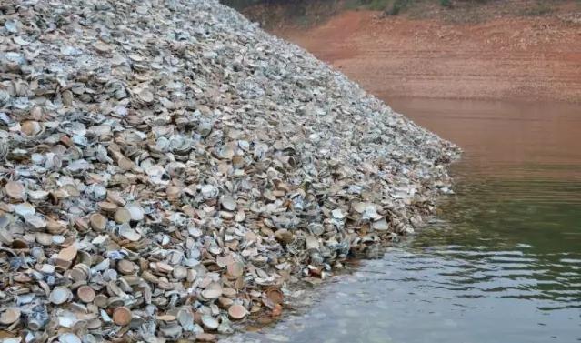 醴陵有哪些出名的地方,醴陵十强镇排名