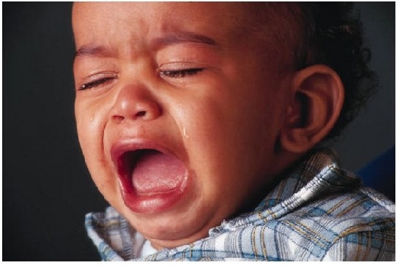 宝宝哭闹不休怎么办?爸爸咬掉儿子的鼻子