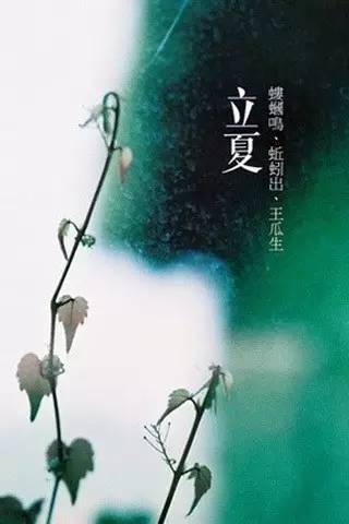 却是石榴知立夏的翻译,却是石榴知立夏年年花开什么意思