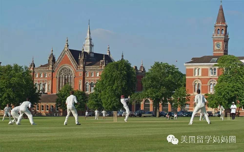 美国常青藤学校,美国常青藤大学教育