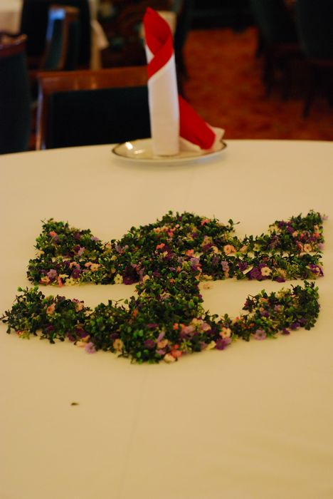 与海洋航行者号美丽邂逅（二）