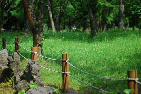 与海洋航行者号美丽邂逅（二）