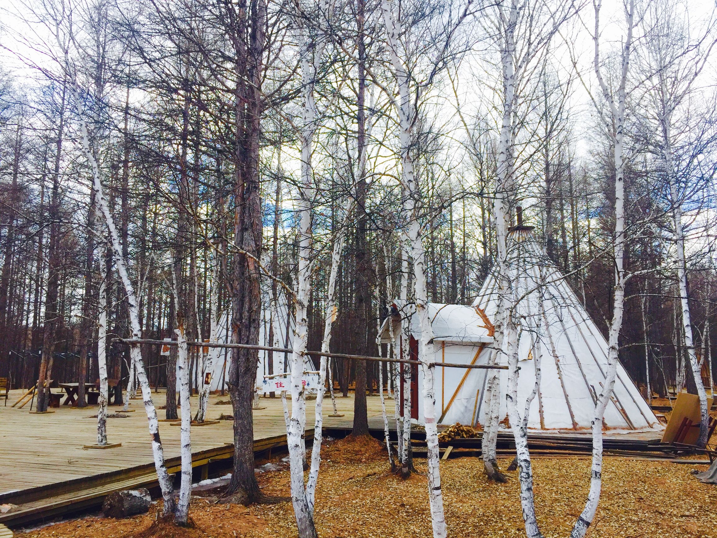 寻北路上，你需要知道的“姿势”