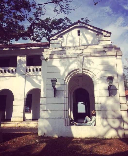 义工旅行自由行,新西兰义工旅行