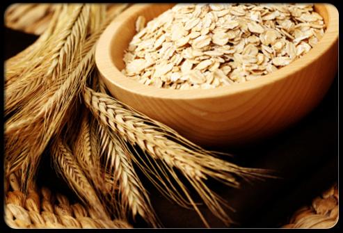 头发又少又油又塌,头发稀少吃什么补回来