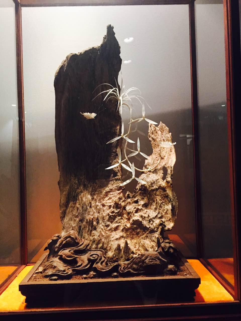 解析每日养生绝招,养生之道在于深度思考