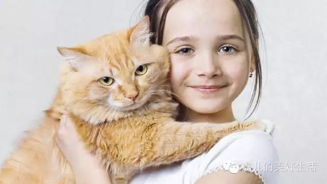 家里有孩子的适合养什么短毛宠物,学生党适合养1-5块钱的宠物