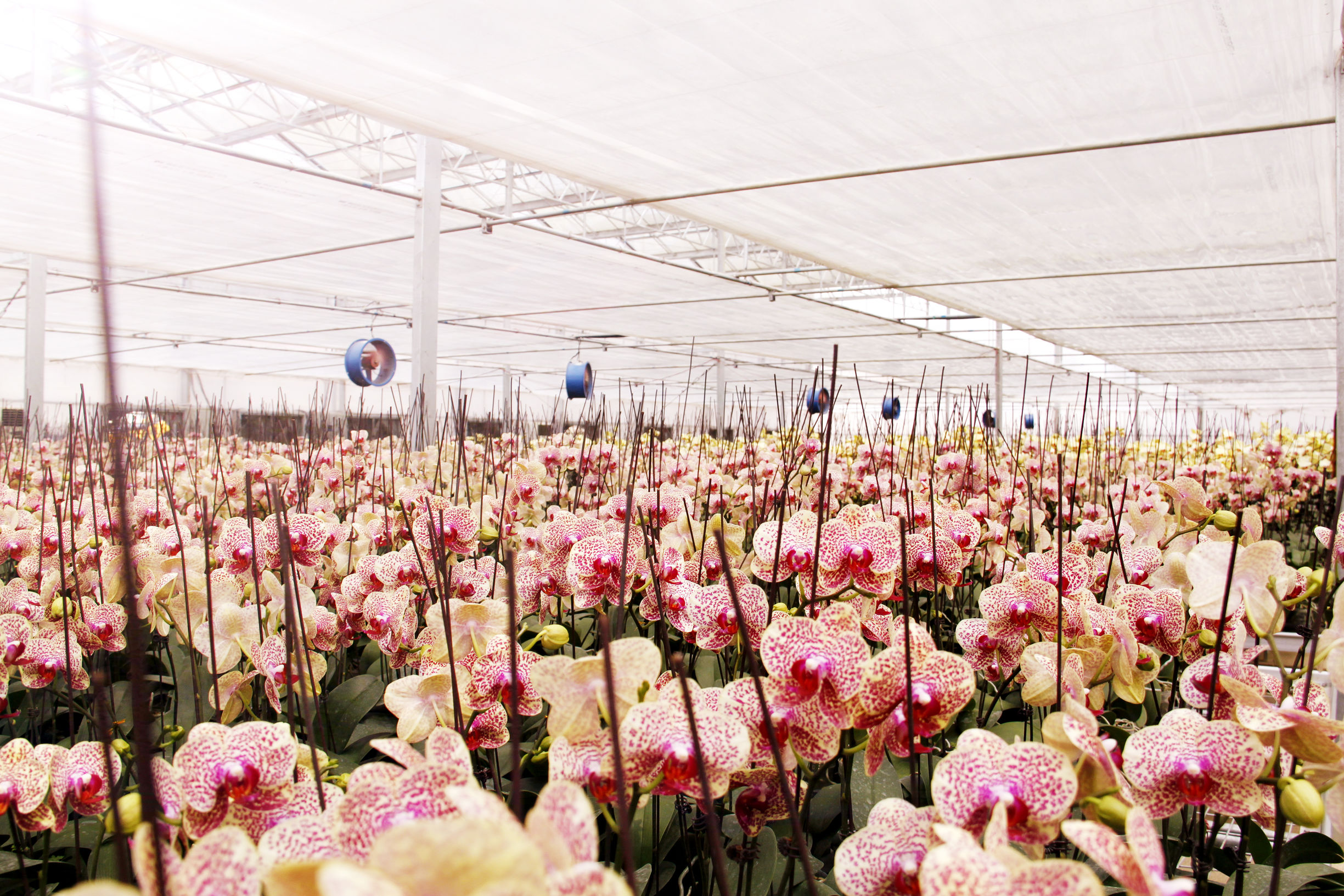 旅发大会前后景区对比,旅发大会有什么好去处