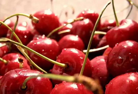 一个樱桃核有氰化物,樱桃核中的氰化物含量