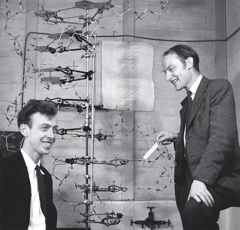 此书太精彩!把科学传记写出了推理小说的感觉丨读书者说