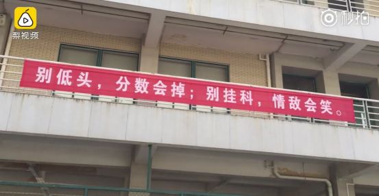 这一波史诗级大片又双叒来了！今年上演：狗年不挂！