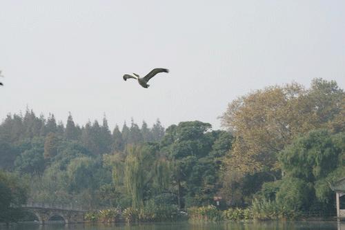 闪迪至尊极速256g存储卡评测,闪迪256gb内存卡200mbs