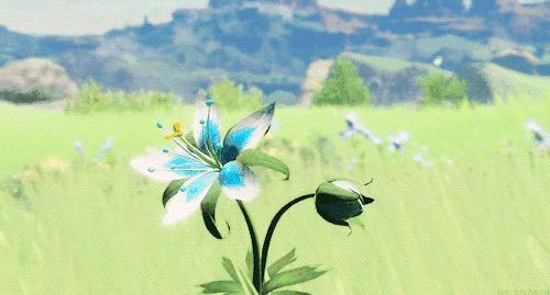 特斯拉vs爱之舟,特斯拉大战视频