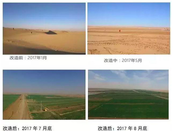 节能环保设计,20种真正有助于环保的设计