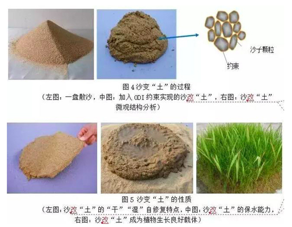 节能环保设计,20种真正有助于环保的设计