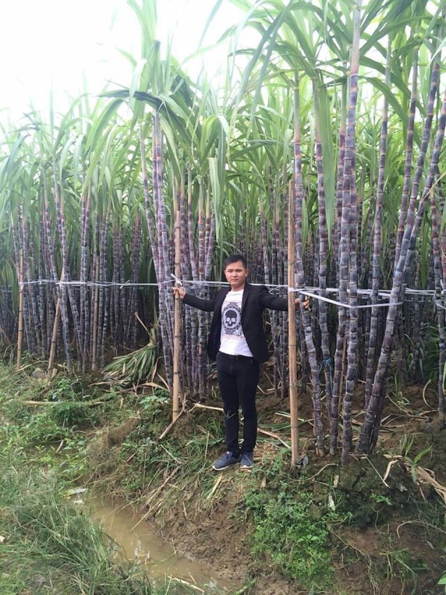 85后小伙创业做农资,85后小伙创业致富