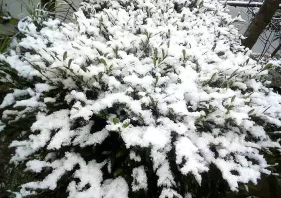 汉中一日游攻略高铁,汉中周边2-3天短途旅游坐高铁