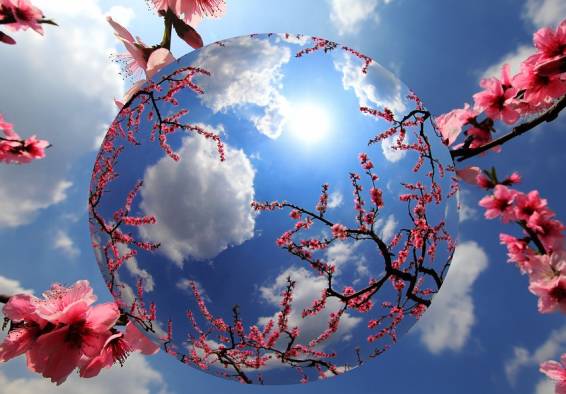 汉中一日游攻略高铁,汉中周边2-3天短途旅游坐高铁